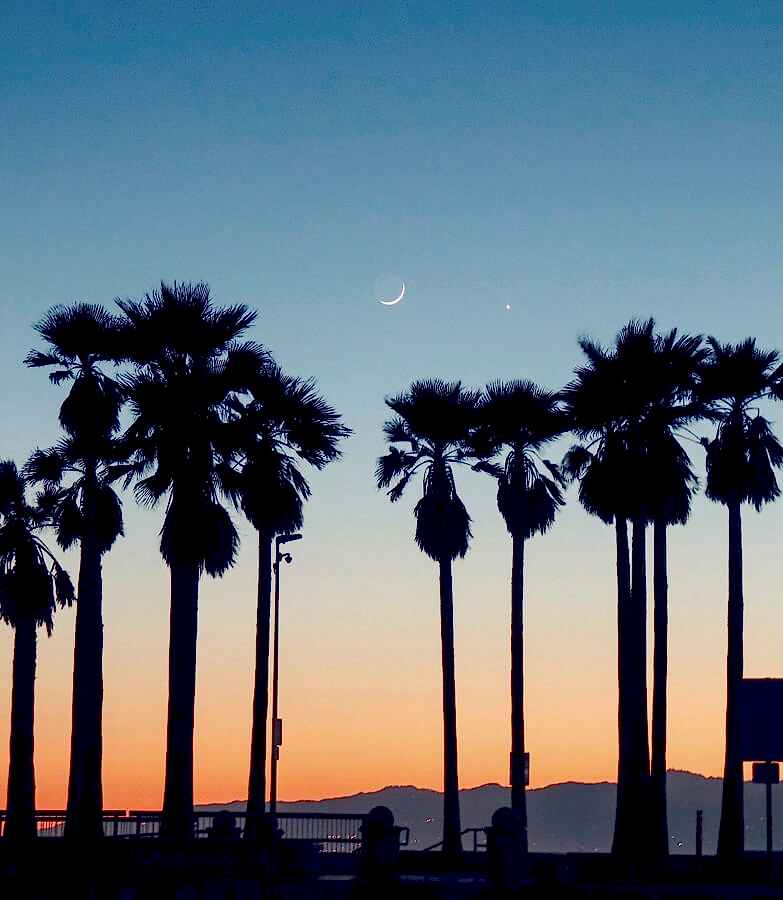 Vegan Top City - Los Angeles